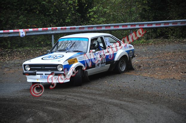 DSC_3411.jpg